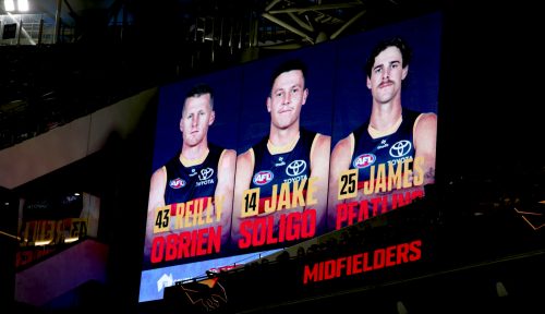 Adelaide Crows Player Profiles